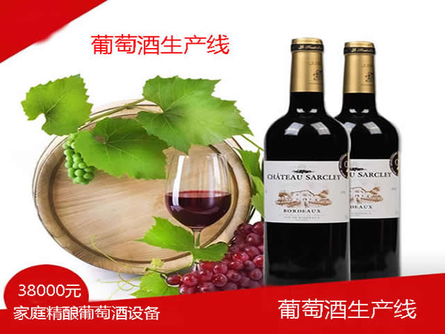 <b>葡萄酒生產線 釀（niàng）葡萄（táo）酒設備</b>