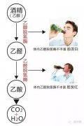 <b>不上頭的好酒有哪些？為什麽酒喝上頭呢？</b>