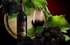 各種果酒生產技術培訓